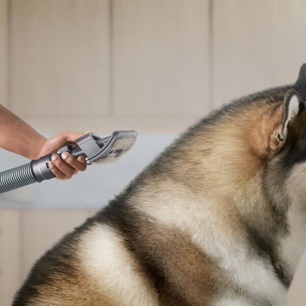 お手入れ・トリミング用品 Dyson pet grooming kit PN-972205-01 Pet grooming kit | Dyson