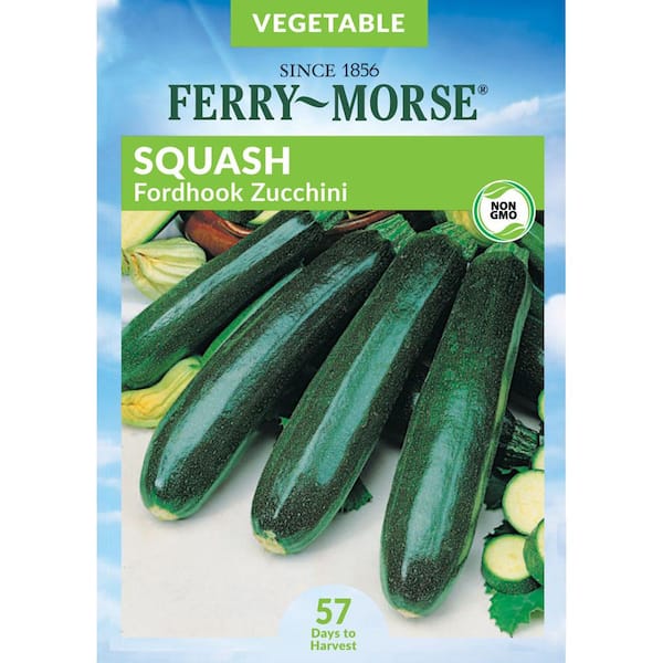 Ferry-Morse Squash Fordhook Zucchini Fruit Seed
