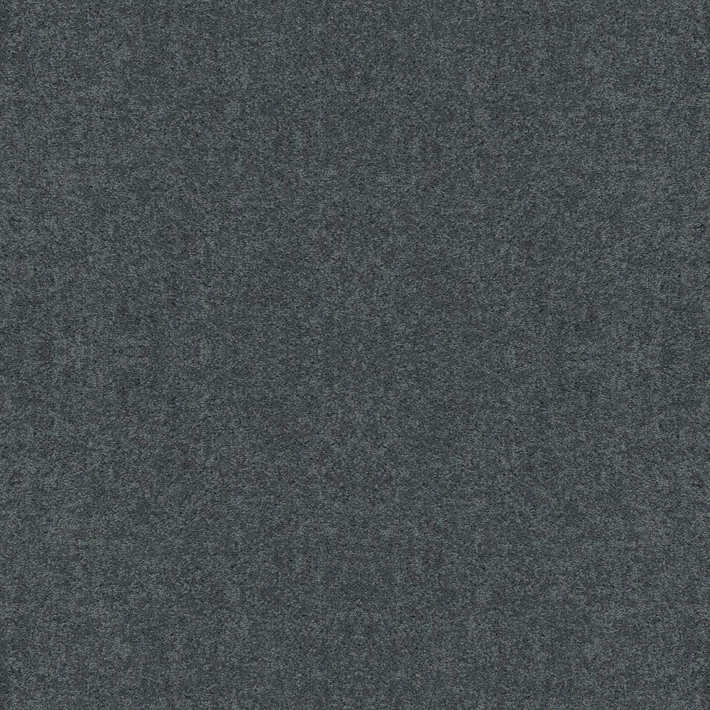 8 in. x 8 in. Texture Carpet Sample - Cottage Comforts - Color Denim Days price history on PriceWatchPro