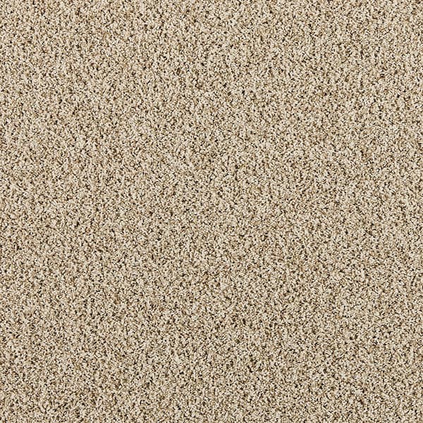 Home Decorators Collection Radiant Retreat II Sandy Beige- Beige 58 oz. Polyester Textured Installed Carpet