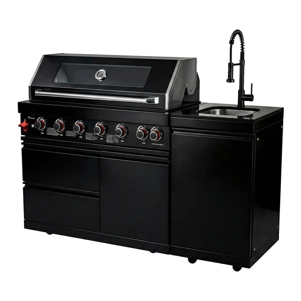 6-Burner Propane Outdoor Kitchen Grill Island with Rotisserie, Sink and Granite Countertop in Stainless Steel price history on PriceWatchPro
