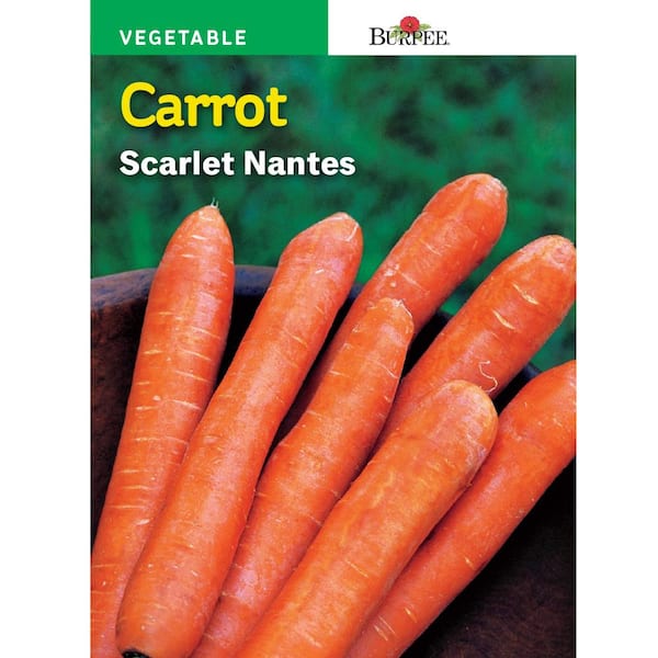 Burpee Carrot Nantes Half Long Seed 57141 - The Home Depot