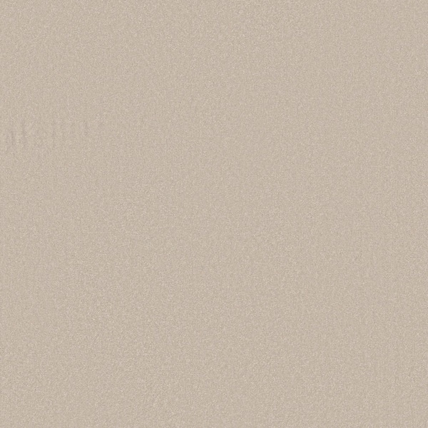 Park Royal I Stucco Beige 42 oz. Nylon Texture Carpet - Installation Required