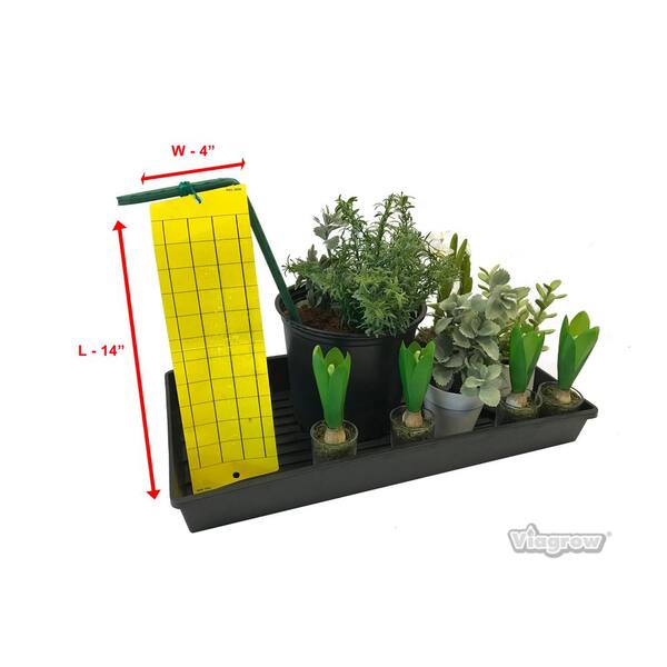 Viagrow Dual Sided Yellow Sticky Traps For Flying Plant Insects 5 Pack 25 Traps Vsft5 5 The Home Depot