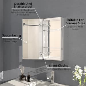 Flicker 12 in. W x 24 in. H Rectangular Aluminum or Surface-Mount Beveled Medicine Cabinet Mirror in Silver