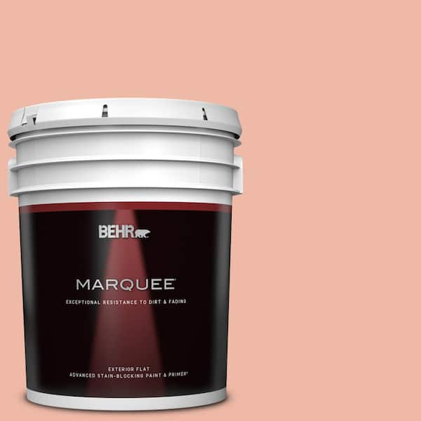 BEHR MARQUEE 5 gal. #210C-3 Jovial Flat Exterior Paint & Primer