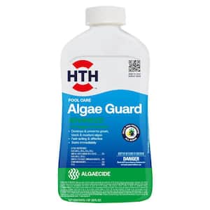 32 fl. oz. Pool Care Algaecide - Algae Guard Advanced