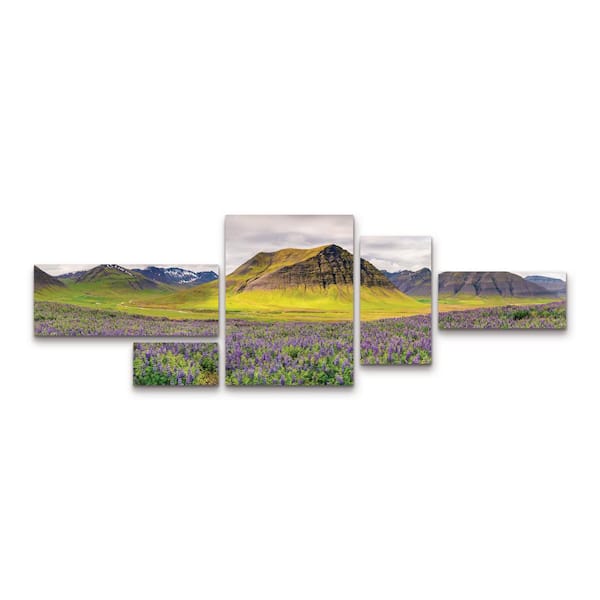 Trademark Fine Art Michael Blanchette Photography Lupines and Mountains Panorama 5-Piece Panel Unframed Photography Wall Art 24 in. x 72 in