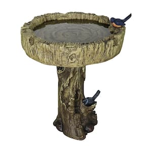 What is the Process for Government Bird Bath: Step-by-Step Guide