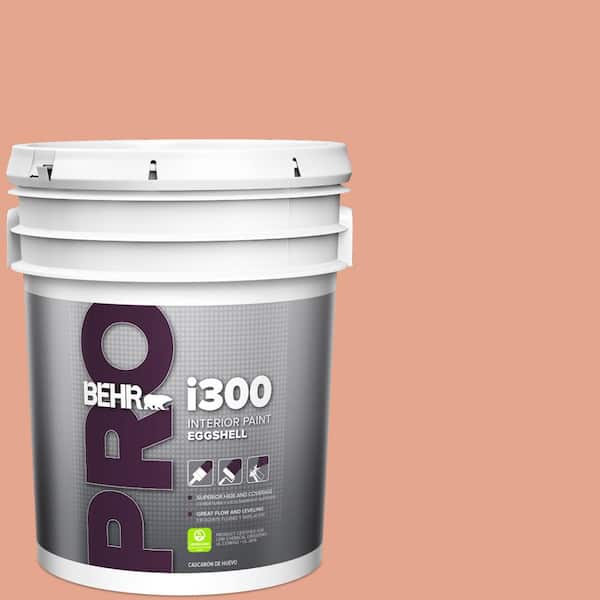 BEHR PRO 5 gal. #M180-4 Priceless Coral Eggshell Interior Paint