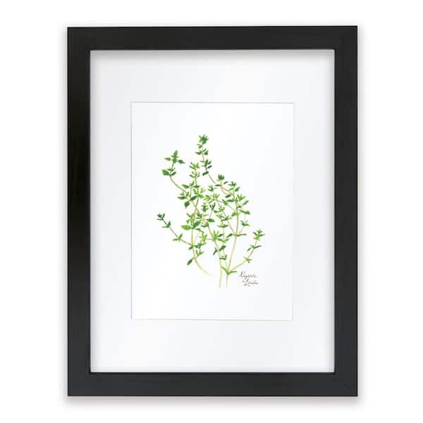 Unbranded Nature's Lace 2 "Thyme" by Alyssa Lewis Individual Black Framed with Mat Nature Art Print 20 in. x 16 in.