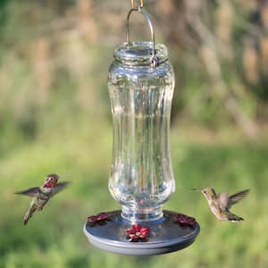 Starglow Decorative Glass Hummingbird Feeder - 16 oz. Capacity