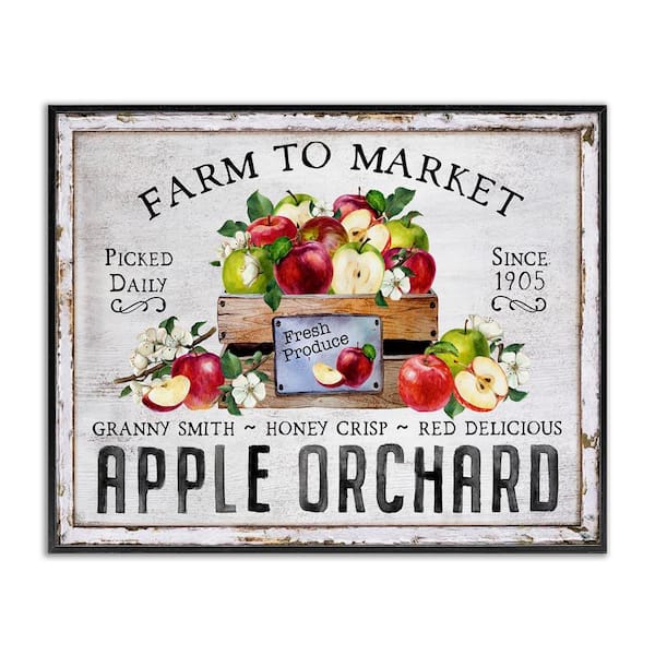 Farmhouse Apple Orchard by Creatif Belle Black Framed Food Giclee Art Print 11 in. x 14 in.