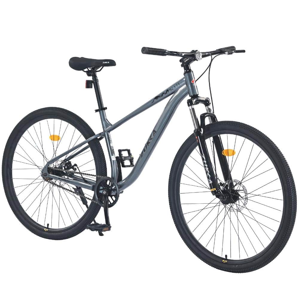 29 Inch Single Speed Mountain Bike, Front Suspension Steel Frame for Men Women Youth