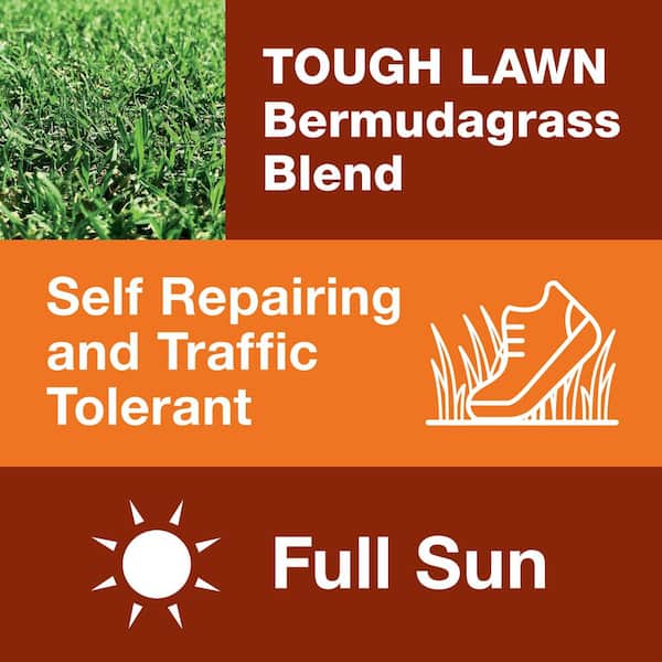 1 lbs. Bermuda Blend Grass Seed