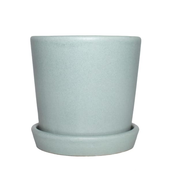 national PLANT NETWORK NPN 5 in. L X 5 in. W x 5 in. H 1 Qt. Semi Matte Mint Indoor Ceramic Bryant with Saucer (1-Piece)