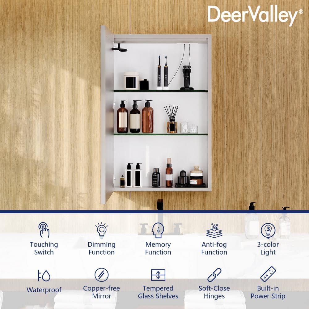 24'' W x 36'' H LED Lighted Wall Mounted Medicine Cabinet with Mirror
