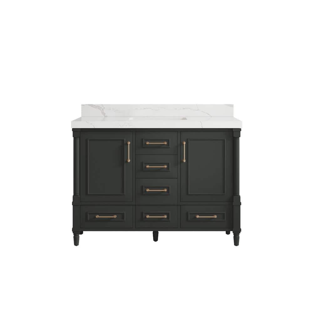 Hudson 48 in. Single Sink Freestanding Black Top Bath Vanity with Calacatta Laza Quartz Top Unassembled price history on PriceWatchPro