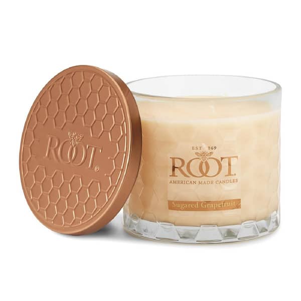 3 Wick Honeycomb Sugared Grapefruit Scented Jar Candle in Buttercream