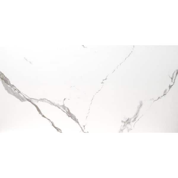 MSI Ader Tegel 24 in. x 48 in. Polished Porcelain Floor and Wall Tile (8 sq. ft./Each)