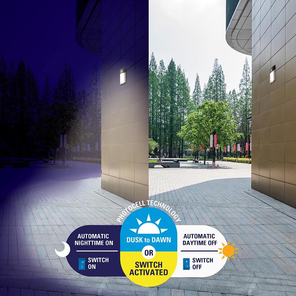 Bronze LED Dimmable Mini Wall Pack with Dusk to Dawn Sensor