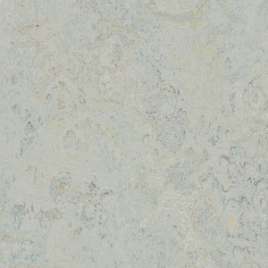 Cinch Loc Seal Seashell 9.8 mm T x 11.81 in. W x 11.81 in. L Laminate Flooring (6.78 sq. ft./case)