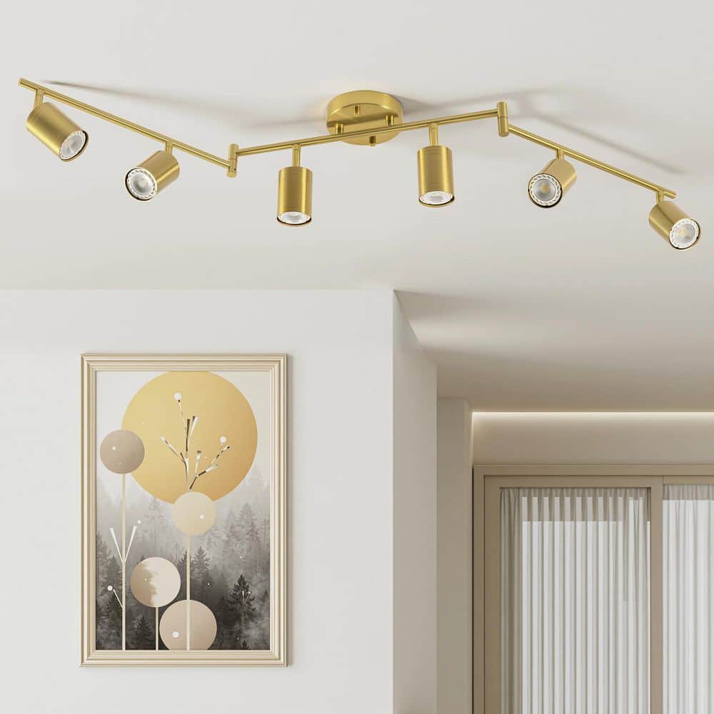6-Light 4 ft. Gold Ceiling Mounted Hardwired Track Lighting Kit with Adjustable Heads and 6-Bulbs Included price history on PriceWatchPro