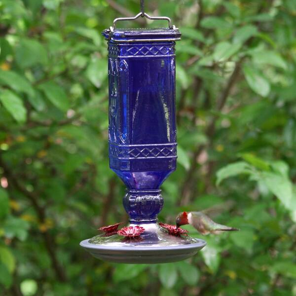 hummingbird food target