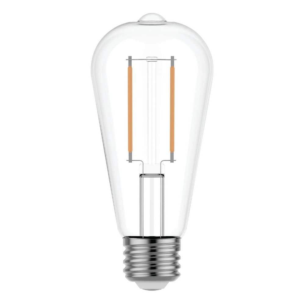GE 60.0-Watt Equivalent ST19 Straight Tapered Edison style LED Light Bulb Soft White Dimmable Bulb 2-Pack