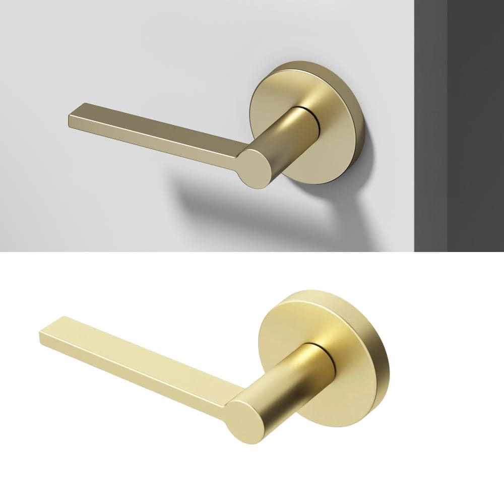 Muse Metal Brushed Champagne Gold Dummy Door Handle with Round Rosette price history on PriceWatchPro