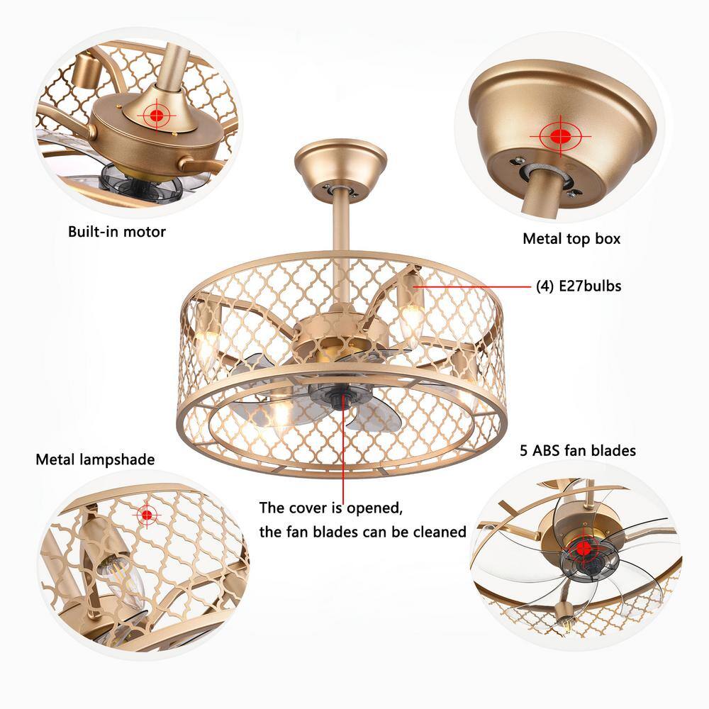 20-Inch Gold Metal Caged Ceiling Fan with Remote and Lighting