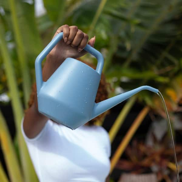 Watering can 88 oz (1 fashion l) - EXOTIC BIRDS