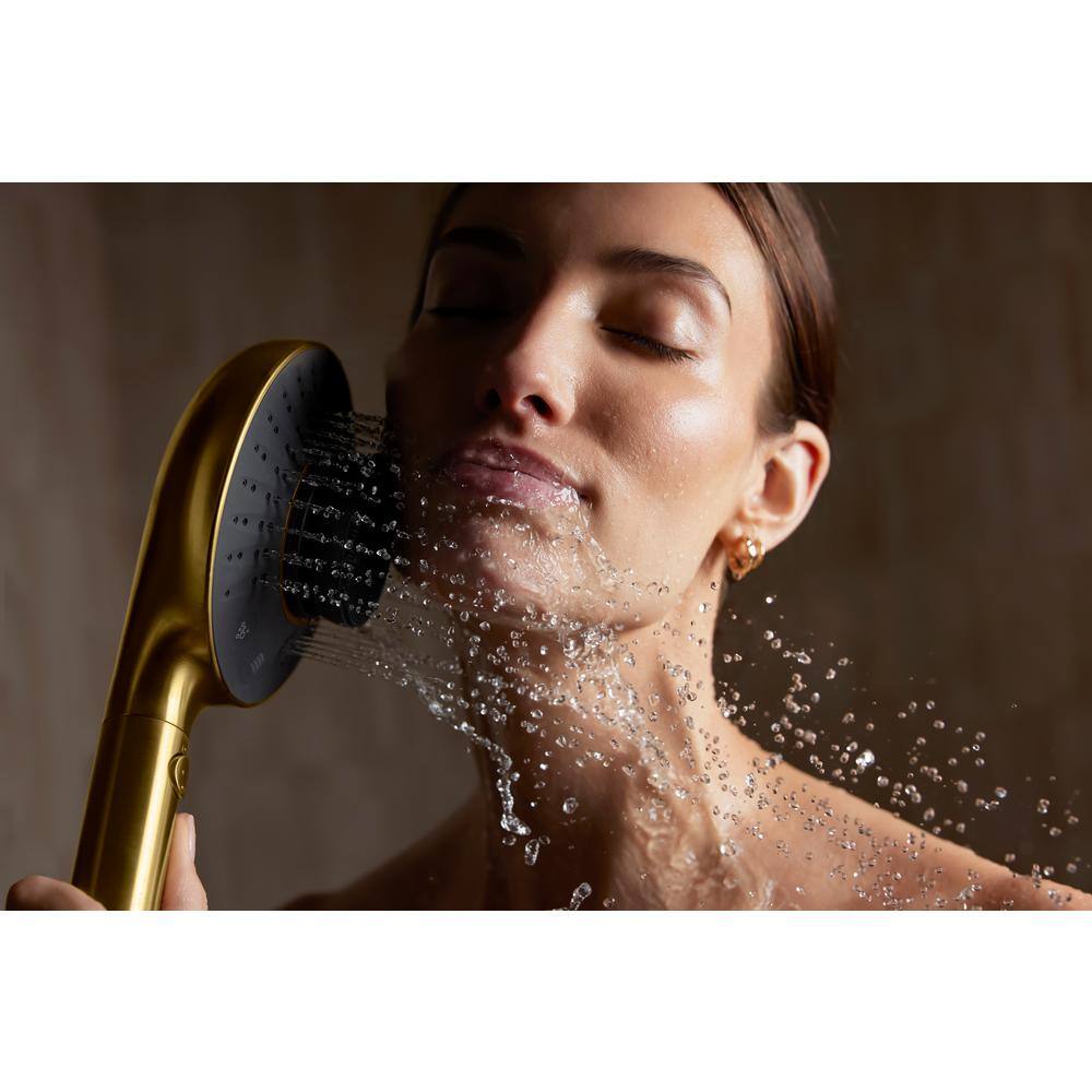 Polished Chrome Handheld Two-Function Showerhead with Cleansing Device