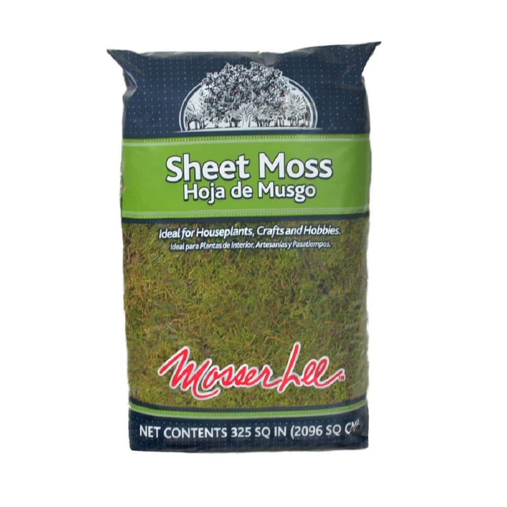 Cushion Moss 1 Gallon bag, Live moss, Great for Terrariums & Weddings and  other creations! Sheet moss, live sheet moss, green sheet moss
