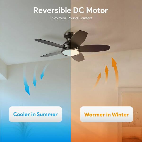 FANSHAIN 36-Inch Small Ceiling Fan With Light – DC Motor, 6 Speeds, 3CCT Dimmable, Reversible, Remote Control – For Bedroom, Living Room, Kids Room