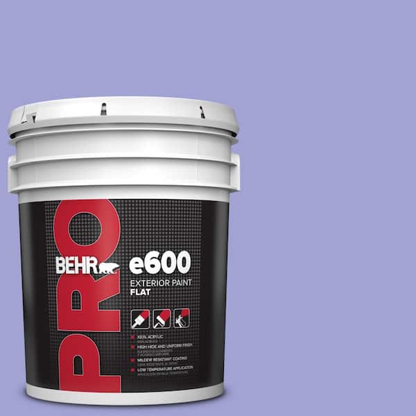 BEHR PRO 5 gal. #P550-4 Water Hyacinth Flat Exterior Paint