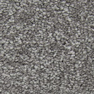 Lifeproof with Petproof Technology 8 in. x 8 in. Texture Carpet Sample ...