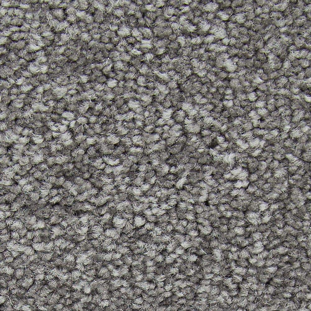 8 in. x 8 in. Texture Carpet Sample - Gentle Peace II -Color Revolution price history on PriceWatchPro