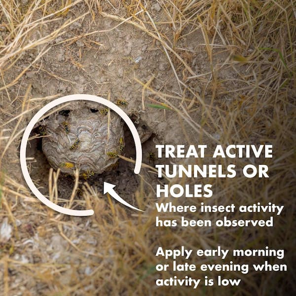 Spectracide Spectracide 16 Oz. Aerosol Carpenter Bee And Ground