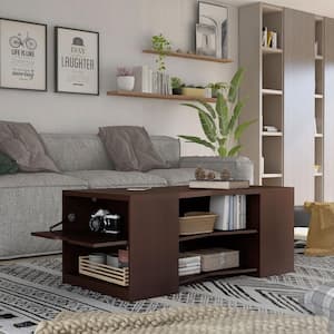 McColl 47 in. Walnut Rectangle Wood Coffee Table with Storage