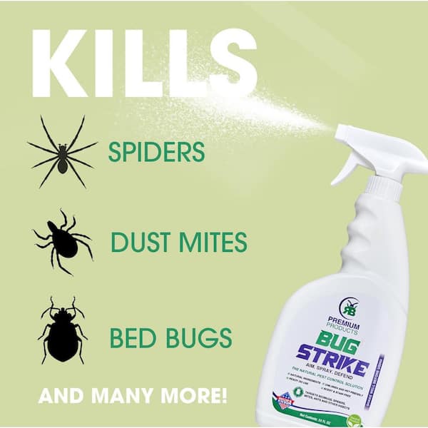 https://images.thdstatic.com/productImages/a8b4726b-69eb-4982-9a4e-c5ac651a87e2/svn/rb-bug-strike-bug-killer-spray-rbpremiumproducts8243-c3_600.jpg