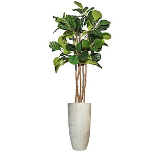 60 in. H Artificial Fig Tree 22 in. H Fiberstone Planter