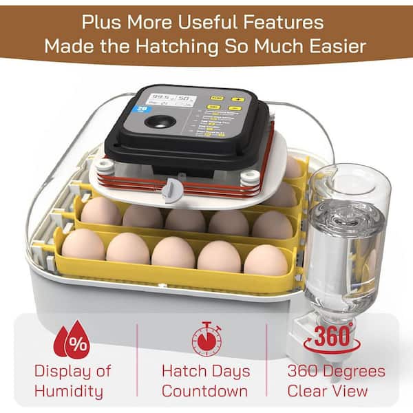 【美品】dinoworks egg foodie black L Amazon.com: DASH Deluxe Rapid Egg Cooker Electric, 12