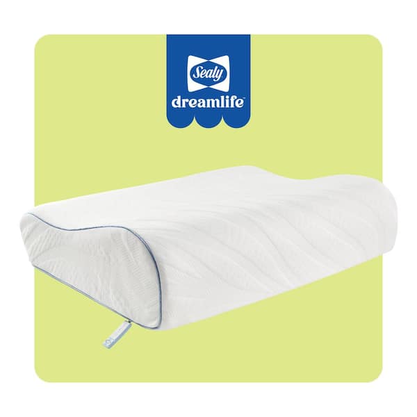 Dreamlife Contour Memory Foam Standard Pillow