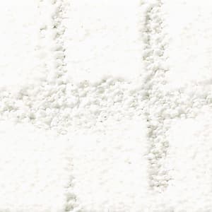 Berlin - Purity - Beige 42.1 oz. Nylon Pattern Installed Carpet