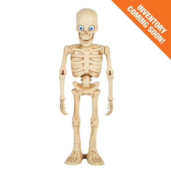 3 ft. Halloween Classics Animated LED Dancing Skeleton