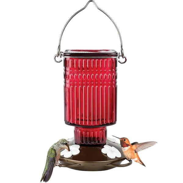 Carnation Antique Glass Hummingbird Feeder 22 oz
