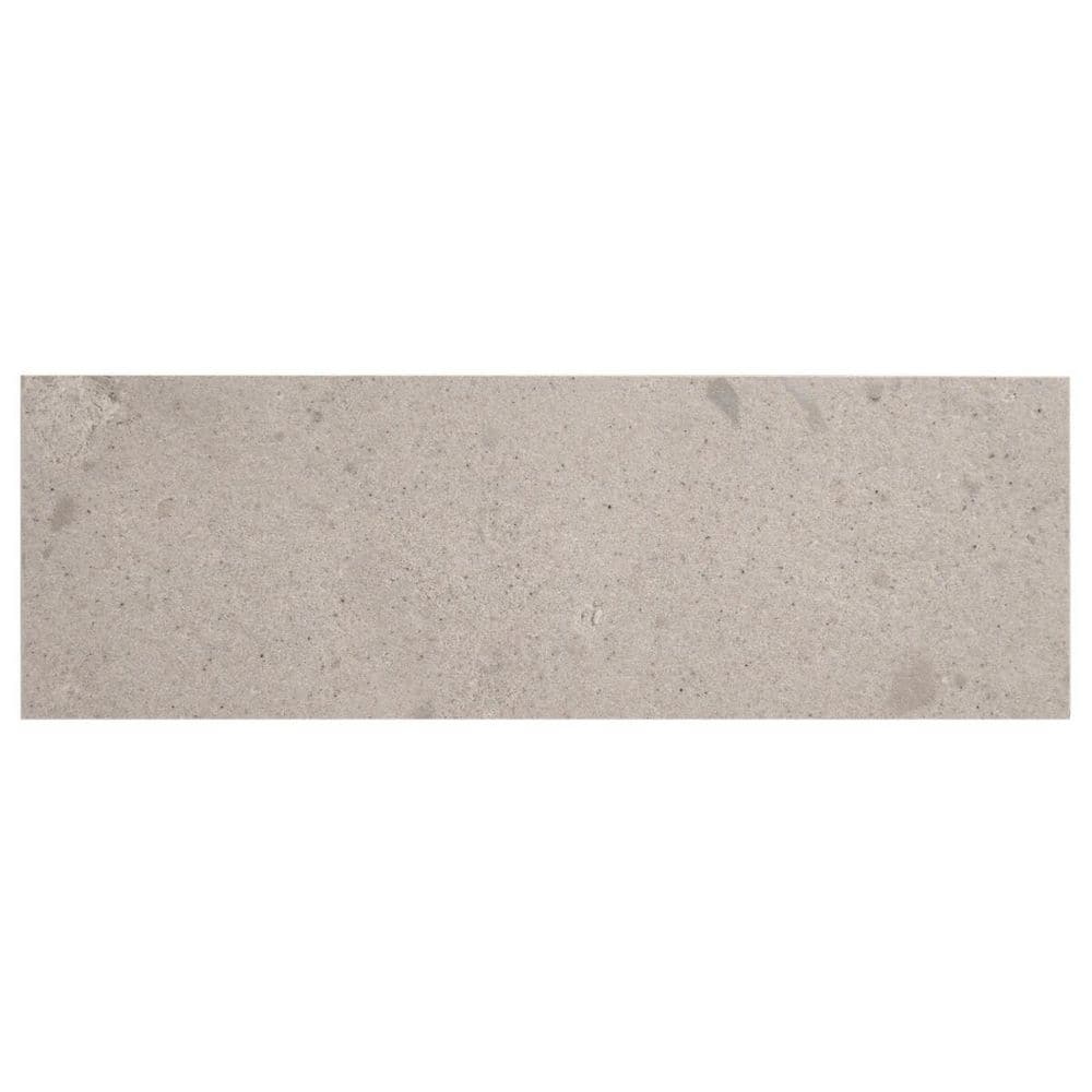 Sarto Petite Warm Gray 4 in. x 0.35 in. Terrazzo Look Matte Porcelain Floor and Wall Tile Sample price history on PriceWatchPro