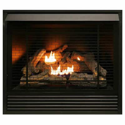 Remote Control Gas Fireplace Inserts, Gas Log Fireplace Insert With Remote Control
