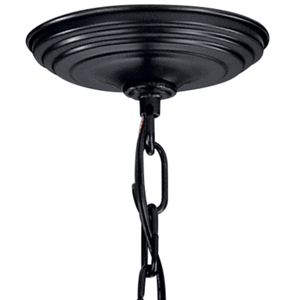 Black 48" Cage Outdoor Pendant Light with 8 Bulbs